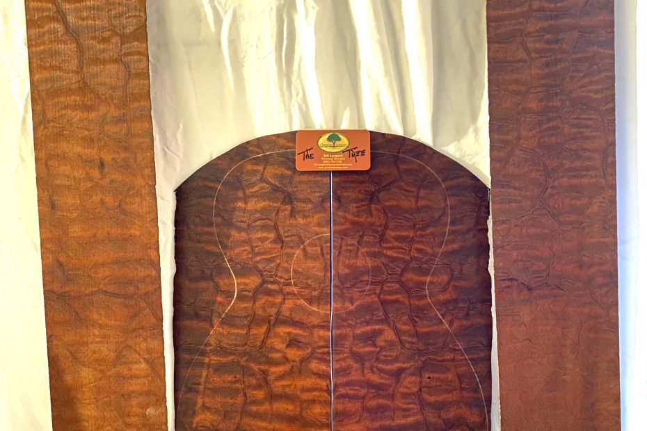 Guitar Back + Sides Mahogany The Tree