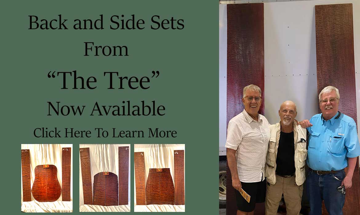 The Tree Guitar Sets